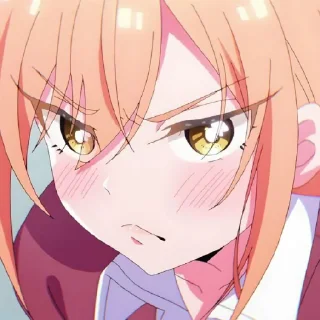 ✨