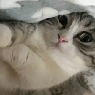 😕