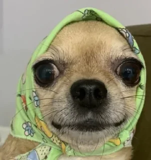 ☺️