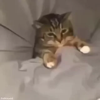 🛏