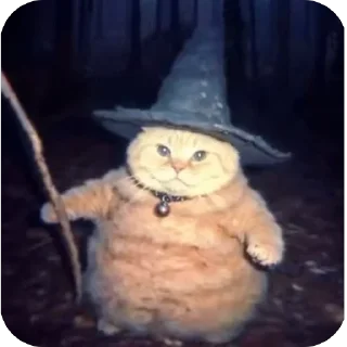 🧙‍♂️