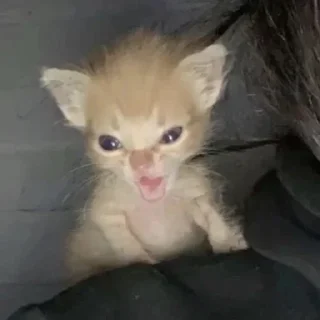 😈