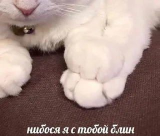 🤍