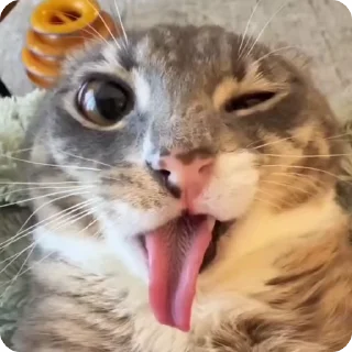 🤪