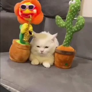 😞