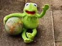 🌍