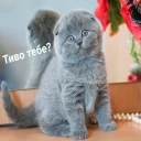 🙃