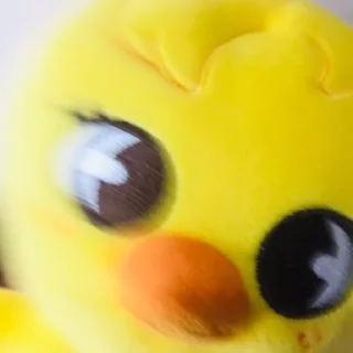 🐣