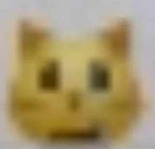 😼
