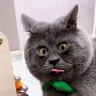 😳