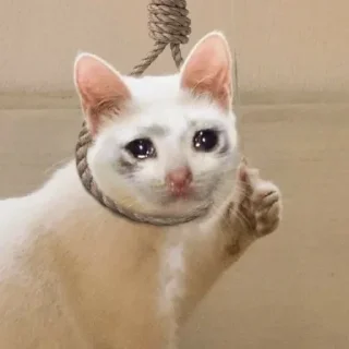 ☠