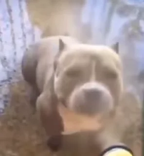 🙂