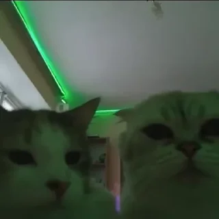 🥳