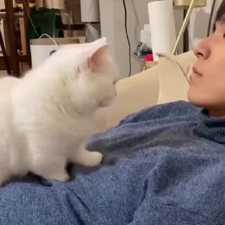😊