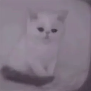 😭