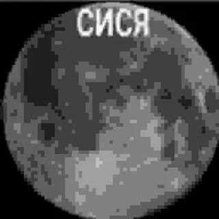 🌚