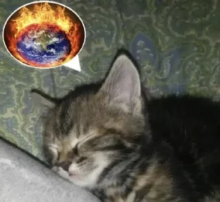 🌟