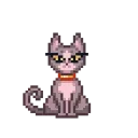 😼