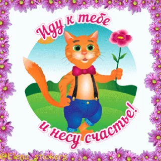 😺
