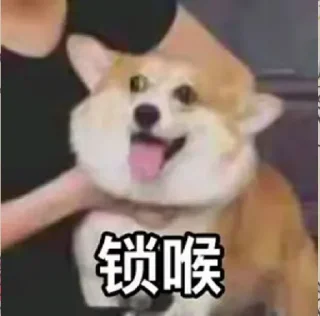 😝