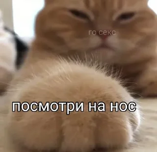 🤍