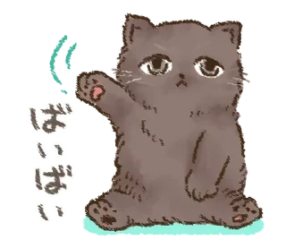 🐱