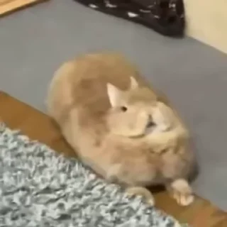 🥛