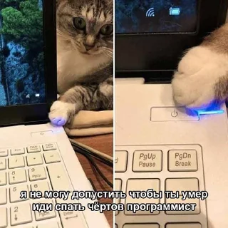 ☠️