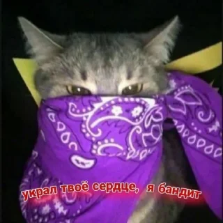 ❤️‍🔥