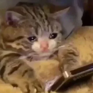😭