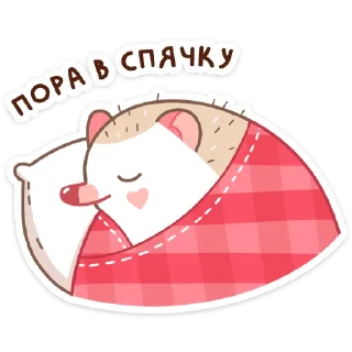 😴