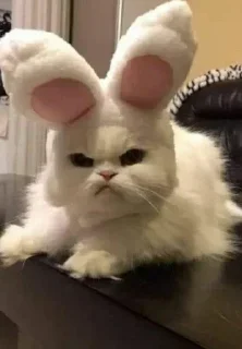 😡