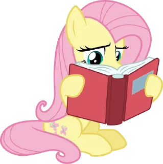 📕