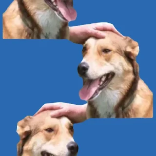 🟦