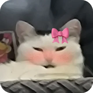☺