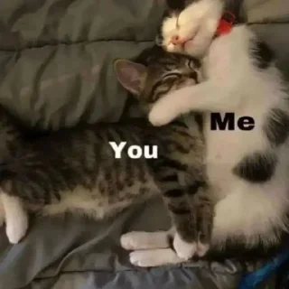 🫂