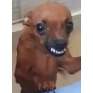 🤬