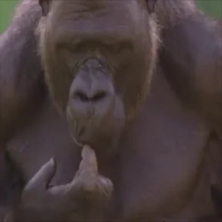 😱