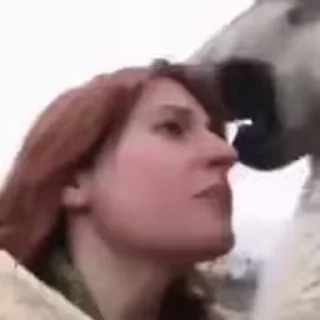 🐺