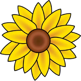 🌼