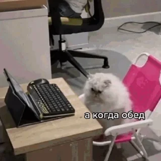 🙄