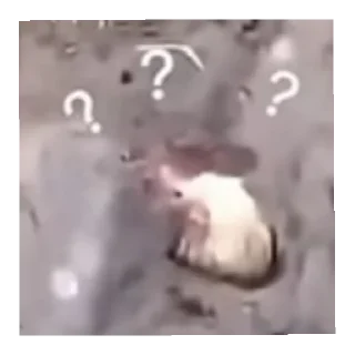 ❓