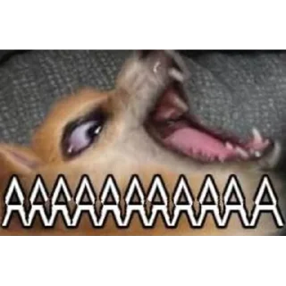 😨