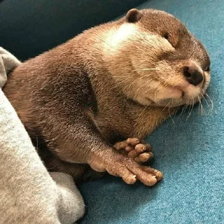 🥱