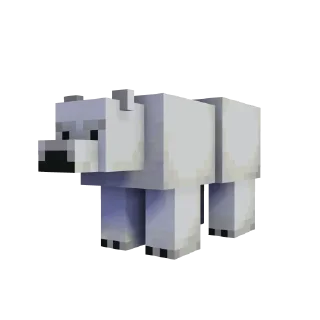 🐻‍❄️