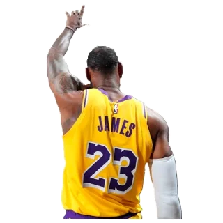 👑