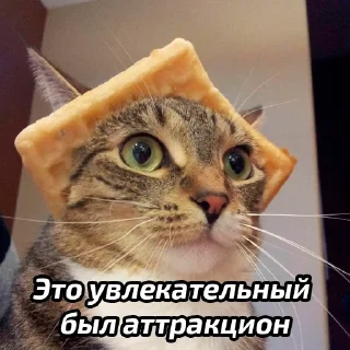 🙂