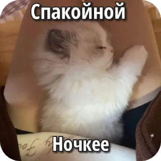 👍