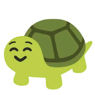 🐢