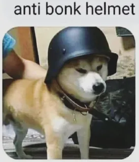 😎